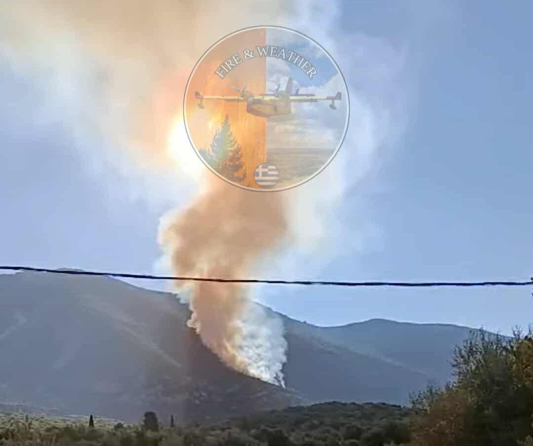 Πυρκαγιά σε δασική έκταση στην περιοχή Γαρδίκι Θεσπρωτίας