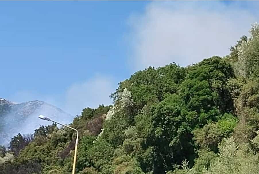Πυρκαγιά σε αγροτική έκταση στην περιοχή της Νέας Σαμψούντας στην Πρέβεζα