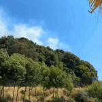 Πυρκαγιά σε δασική έκταση στη περιοχή Γλυκή Θεσπρωτίας