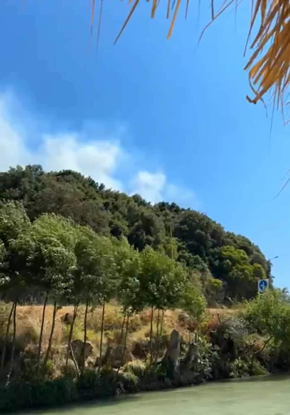 Πυρκαγιά σε δασική έκταση στη περιοχή Γλυκή Θεσπρωτίας