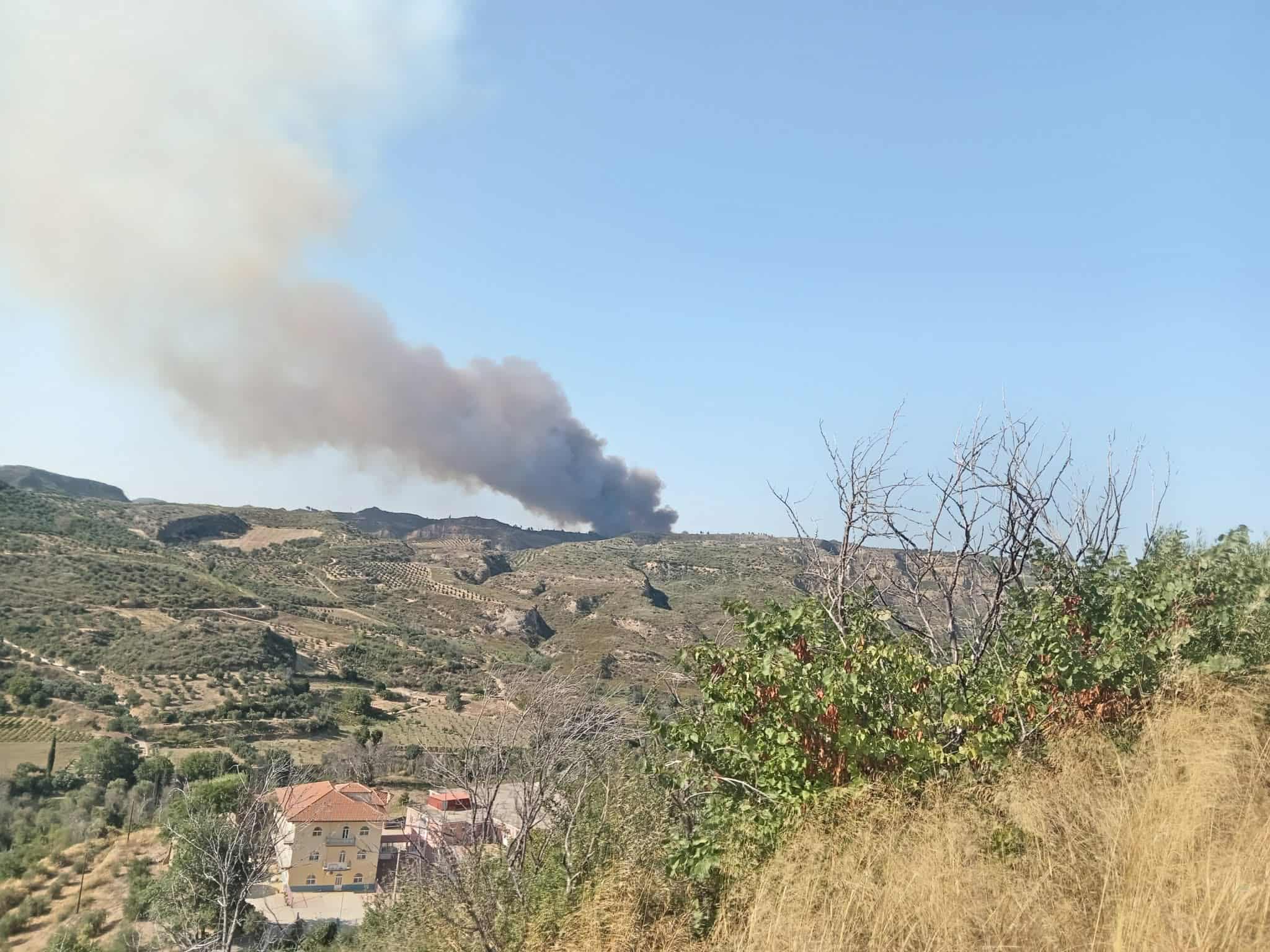 Πυρκαγιά σε δασική έκταση στην περιοχή Χελιδόνι Ηλείας