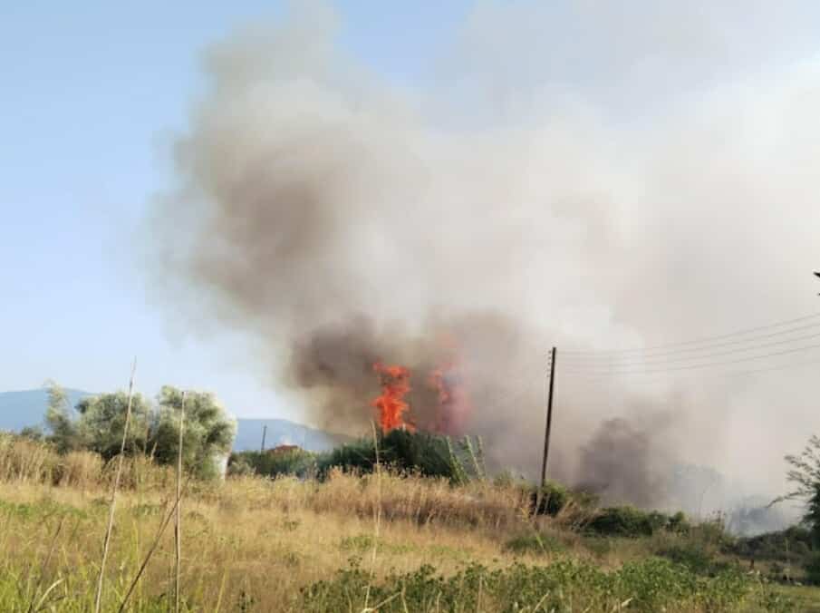 Πυρκαγιά σε γεωργική έκταση στην περιοχή Νεάπολη Αγρινίου