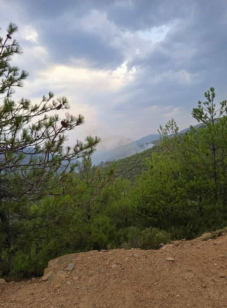 Πυρκαγιά στη Θάσο: Τέσσερις εστίες σε εξέλιξη – Μεγάλη κινητοποίηση επίγειων και εναέριων δυνάμεων