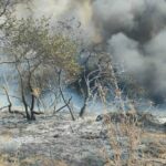 Πυρκαγιά σε χαμηλή βλάστηση στην περιοχή Καπελέτο Ηλείας