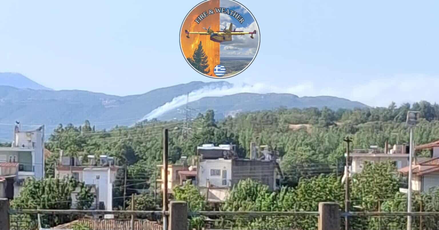 Πυρκαγιά σε δασική έκταση στην περιοχή Λεοντάρι Αρκαδίας Πυρκαγιά σε δασική έκταση στην περιοχή Λεοντάρι Αρκαδίας