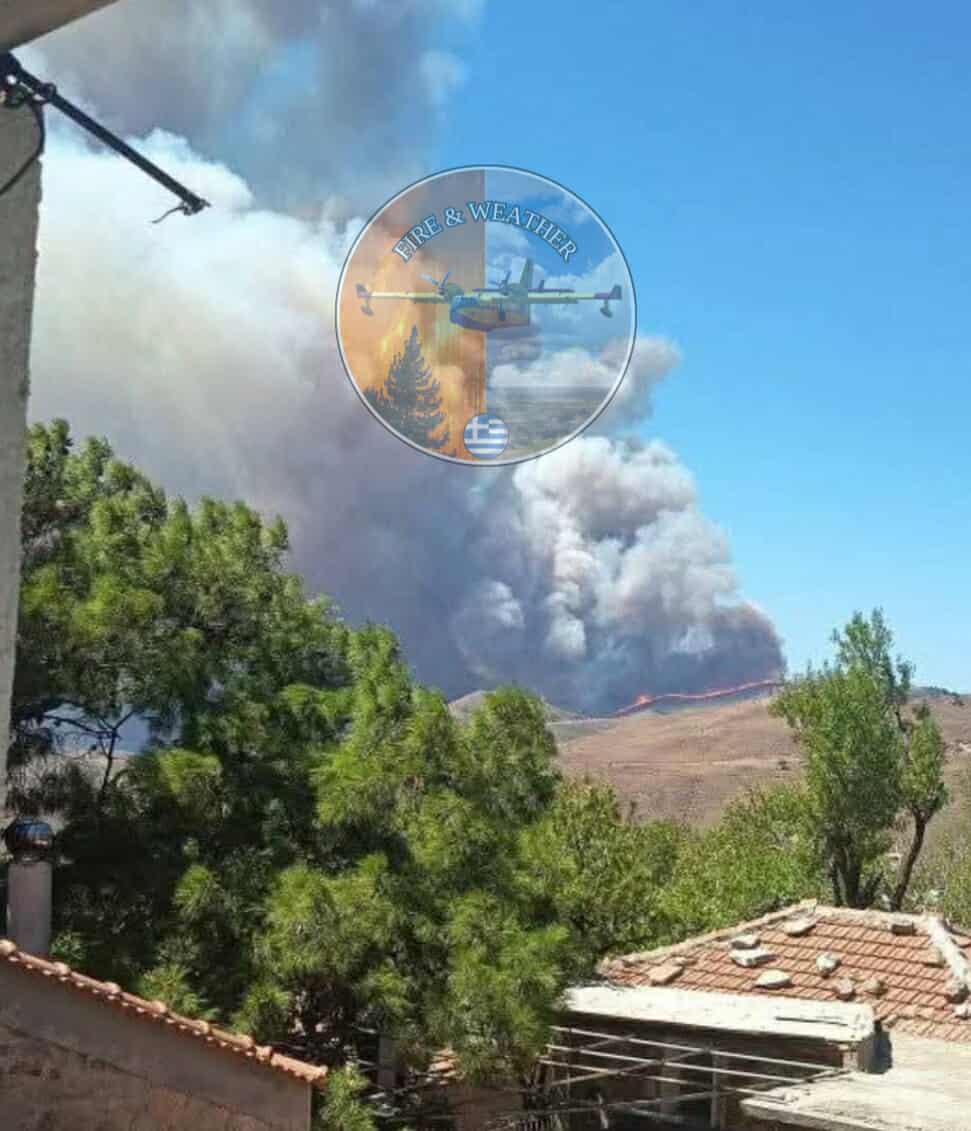 Πυρκαγιά σε δασική έκταση στην περιοχή Χάλανδρα Χίου