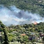 Πυρκαγιά σε δασική έκταση στην περιοχή Αμμότοπος Άρτας