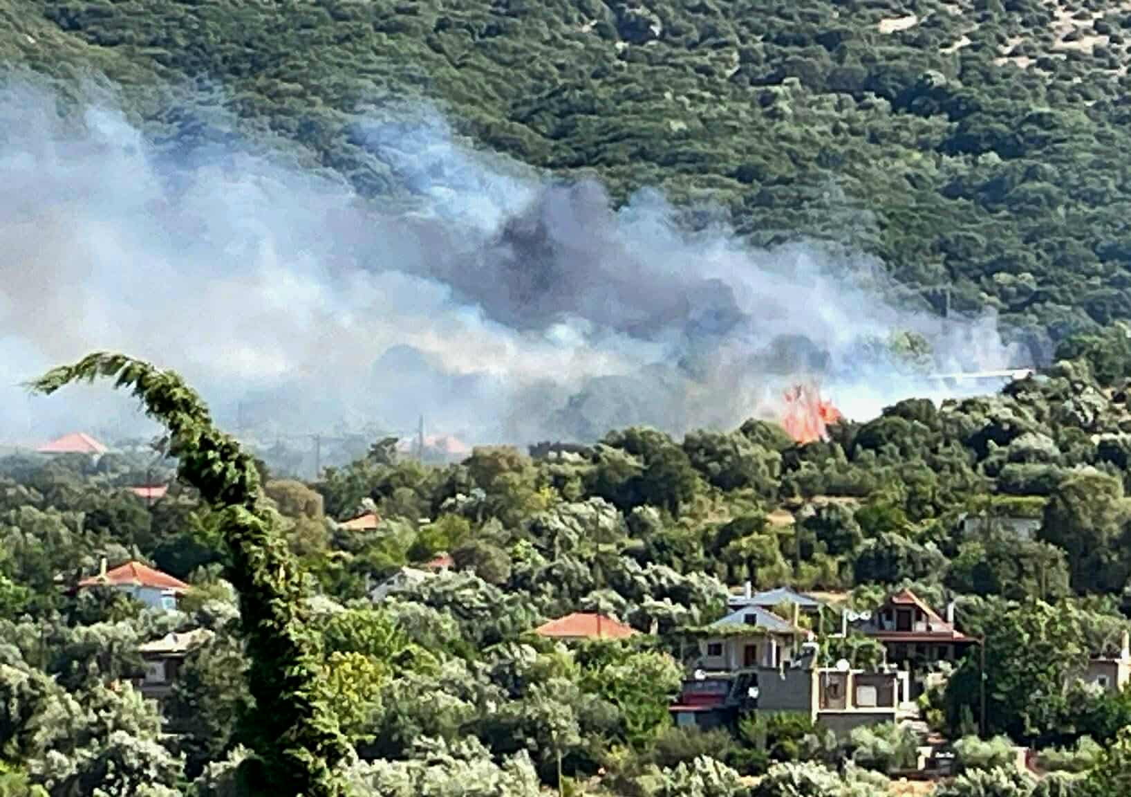 Πυρκαγιά σε δασική έκταση στην περιοχή Αμμότοπος Άρτας