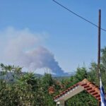 Πυρκαγιά σε δασική έκταση στην περιοχή Χελιδόνι Ηλείας
