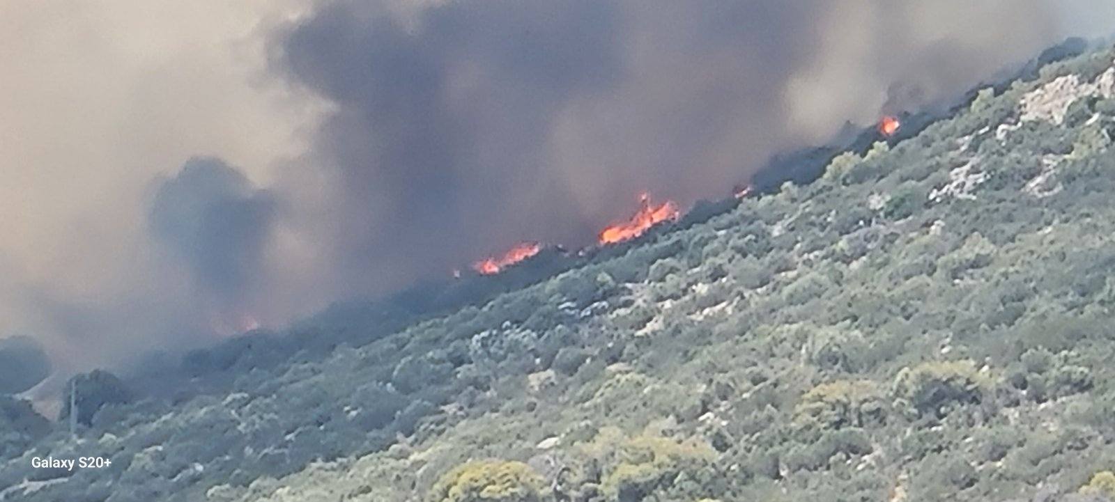 Πυρκαγιά σε χαμηλή βλάστηση στην περιοχή Μανούτσο Κερατέας Αττικής