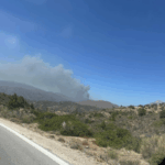 Πυρκαγιά σε δασική έκταση στην περιοχή Χάλανδρα Χίου