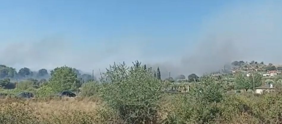 Πυρκαγιά σε δασική έκταση στην περιοχή Γυμνότοπος Πρεβέζης