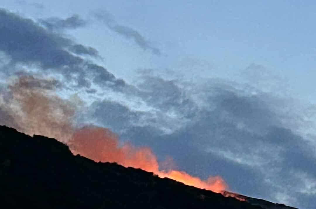 Ενισχύθηκαν οι δυνάμεις στη δασική πυρκαγιά στον Τύρναβο Λάρισας