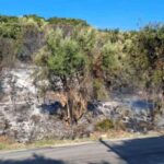 Πυρκαγιά σε δασική έκταση στην περιοχή Ράγιο Θεσπρωτίας