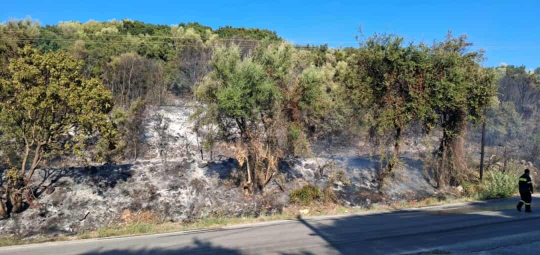 Πυρκαγιά σε δασική έκταση στην περιοχή Ράγιο Θεσπρωτίας