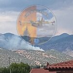 Πυρκαγιά σε δασική έκταση στο Καλό Πηγάδι Φωκίδας