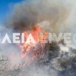 Πυρκαγιά σε αγροτοδασική έκταση στην περιοχή Πηγάδι Ηλείας