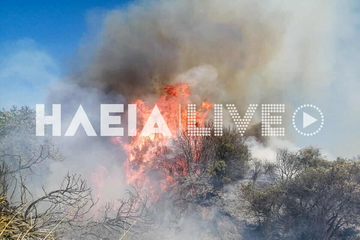 Πυρκαγιά σε αγροτοδασική έκταση στην περιοχή Πηγάδι Ηλείας