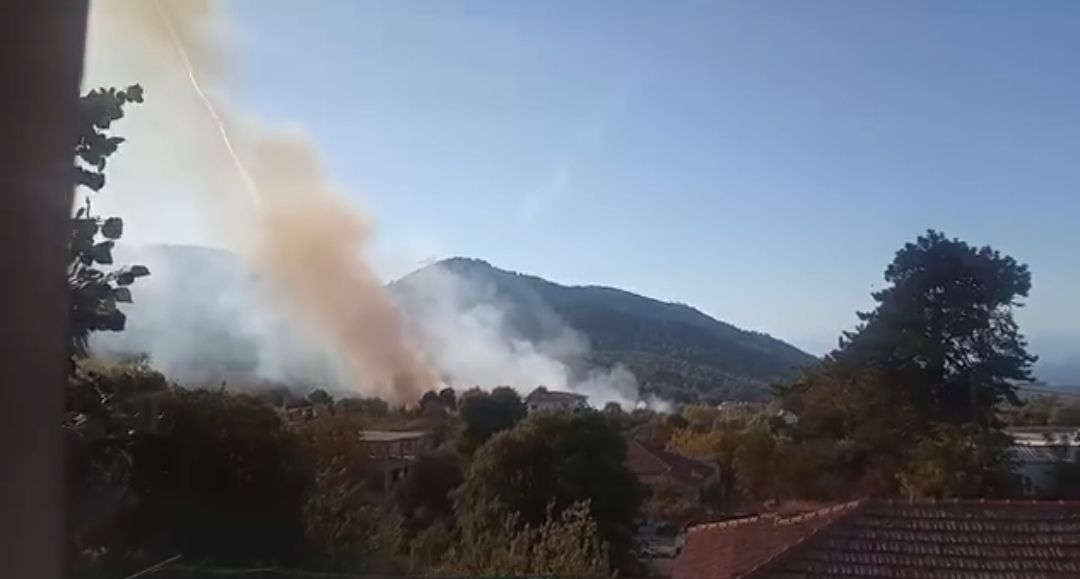 Πυρκαγιά σε αγροτική έκταση στην περιοχή Ελαιώνας Πύργου