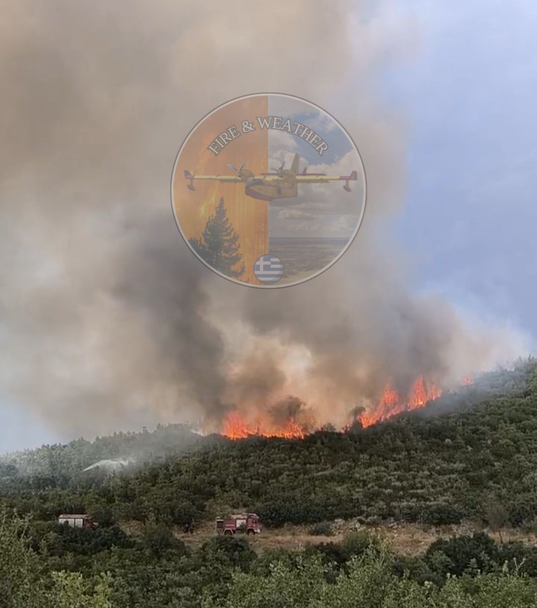Πυρκαγιά σε δασική έκταση στη θέση Βεδουρίτσα Μεγαλόπολης Αρκαδίας