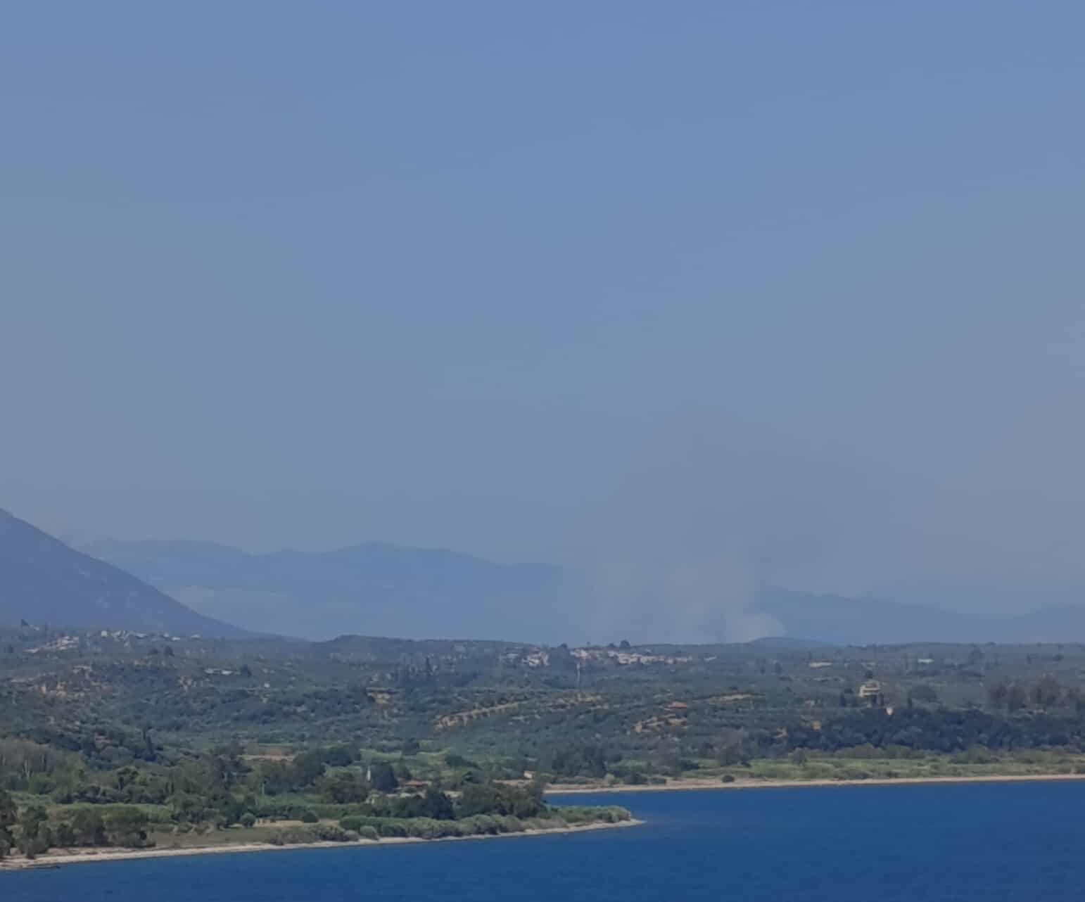 Πυρκαγιά σε αγροτοδασική έκταση στον Μελιγαλά Μεσσηνίας
