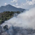 Πυρκαγιά σε δασική έκταση στην περιοχή Γαρδίκι Θεσπρωτίας