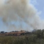Πυρκαγιά σε δασική έκταση στην περιοχή Αρετή Ηλείας