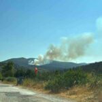 Πυρκαγιά σε δασική έκταση στην περιοχή Πάνακτο Δερβενοχωρίων Βοιωτίας