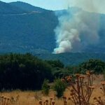 Πυρκαγιά σε δασική έκταση στον Χορτιάτη Θεσσαλονίκης