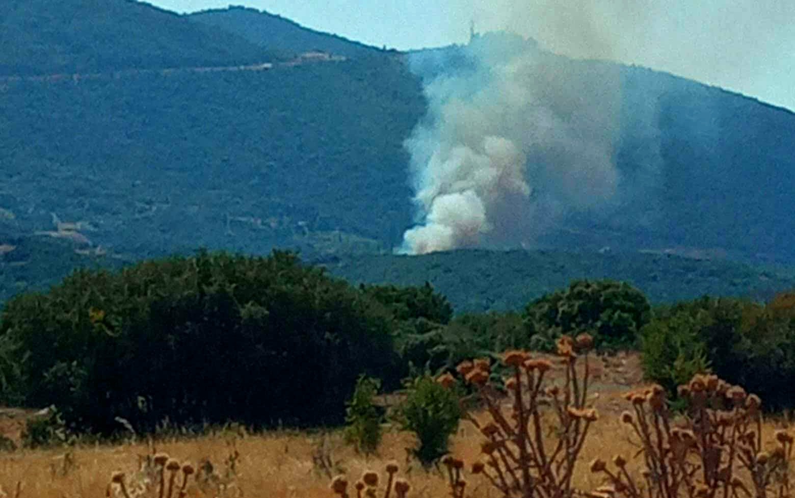 Πυρκαγιά σε δασική έκταση στον Χορτιάτη Θεσσαλονίκης