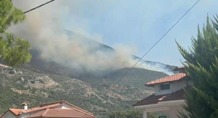 Πυρκαγιά σε δασική έκταση στην περιοχή Χοϊκα Θεσπρωτίας Πυρκαγιά σε δασική έκταση στην περιοχή Χοϊκα Θεσπρωτίας