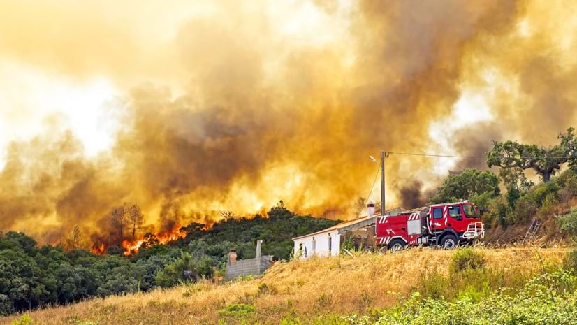 Mega-fire στην Πορτογαλία: Στάχτη 600.000 στρέμματα – 1.600 πυροσβέστες στη μάχη εδώ και 10 ημέρες