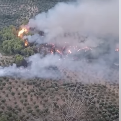Πυρκαγιά σε αγροτοδασική έκταση στο Ξηροχώρι Ηλείας