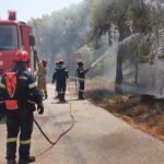 Πυροσβεστική: 55 αγροτοδασικές πυρκαγιές το τελευταίο 24ωρο