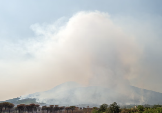 Μεγάλη πυρκαγιά στις πλαγιές του Βεζούβιου στην Ιταλία – Σοβαρή απειλή για το Εθνικό Πάρκο