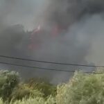 Πυρκαγιά σε χαμηλή βλάστηση στην Καστροσυκιά Πρέβεζας
