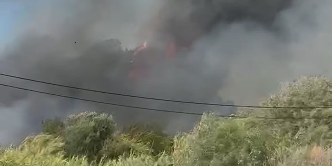 Πυρκαγιά σε χαμηλή βλάστηση στην Καστροσυκιά Πρέβεζας