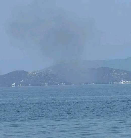 Πυρκαγιά σε αγροτοδασική έκταση στη Μαούνη Ευβοίας