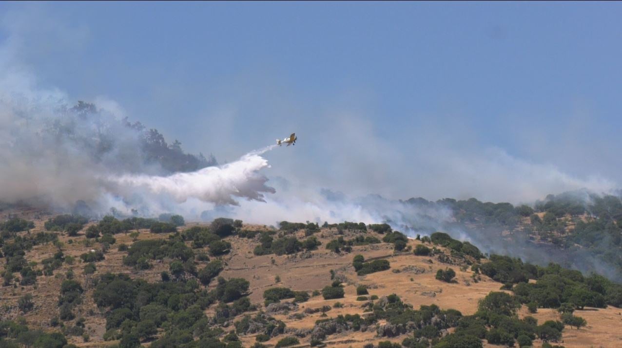 Πυρκαγιά σε χαμηλή βλάστηση στην περιοχή Σοφό Ασπροπύργου Αττικής
