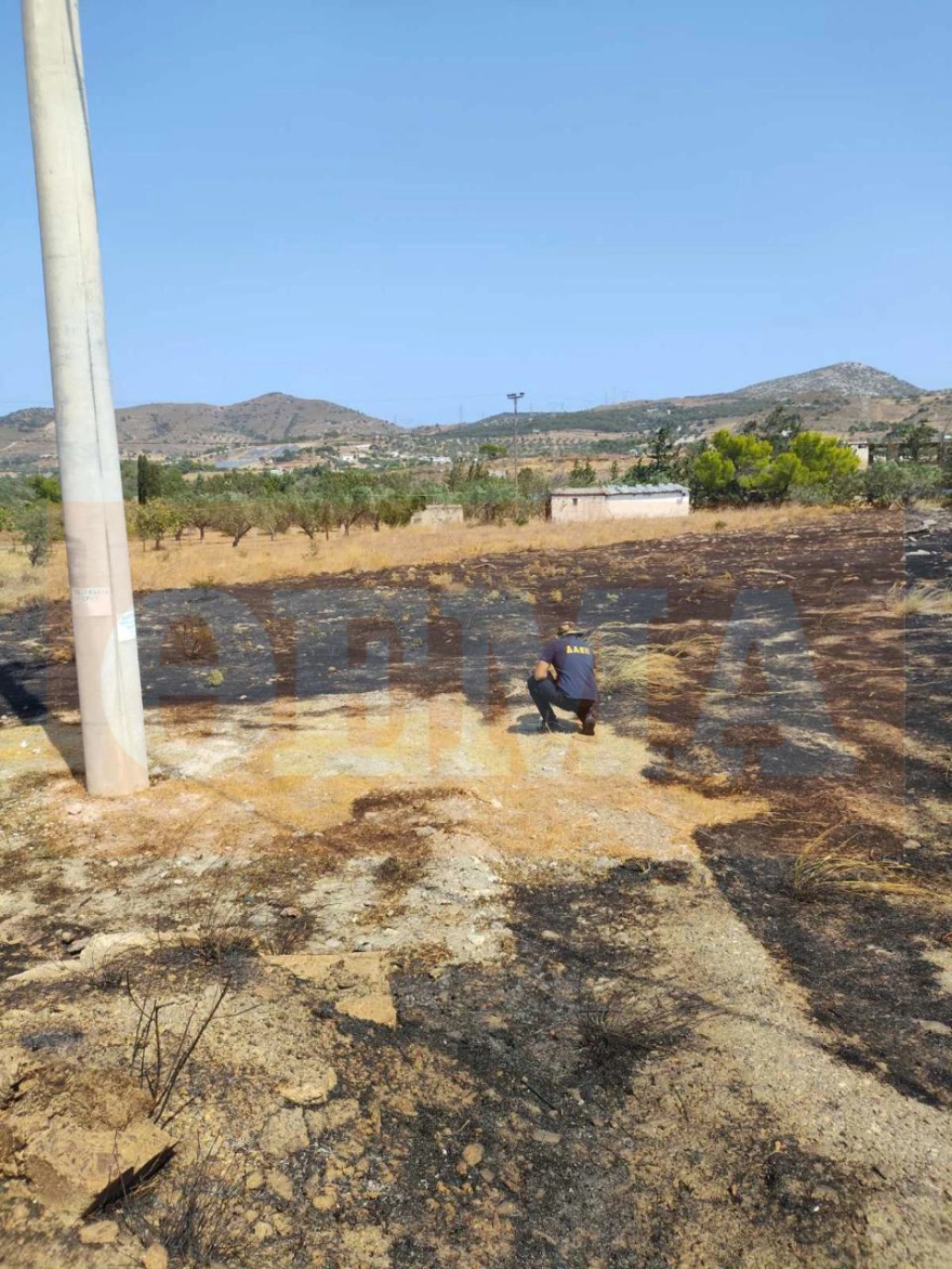 Σύλληψη δύο υπαλλήλων του ΔΕΔΔΗΕ για τη πυρκαγιά στην Κερατέα - Κατηγορούνται για παραλείψεις στη συντήρηση του δικτύου
