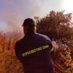Υπό μερικό έλεγχο τέθηκε η πυρκαγιά σε αγροτοδασική έκταση στην περιοχή Μεσοχώρια Ευβοίας