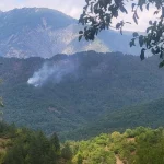 Πυρκαγιά από κεραυνό στη Λάιστα Ζαγορίου – Επιχείρηση κατάσβεσης σε δασική περιοχή