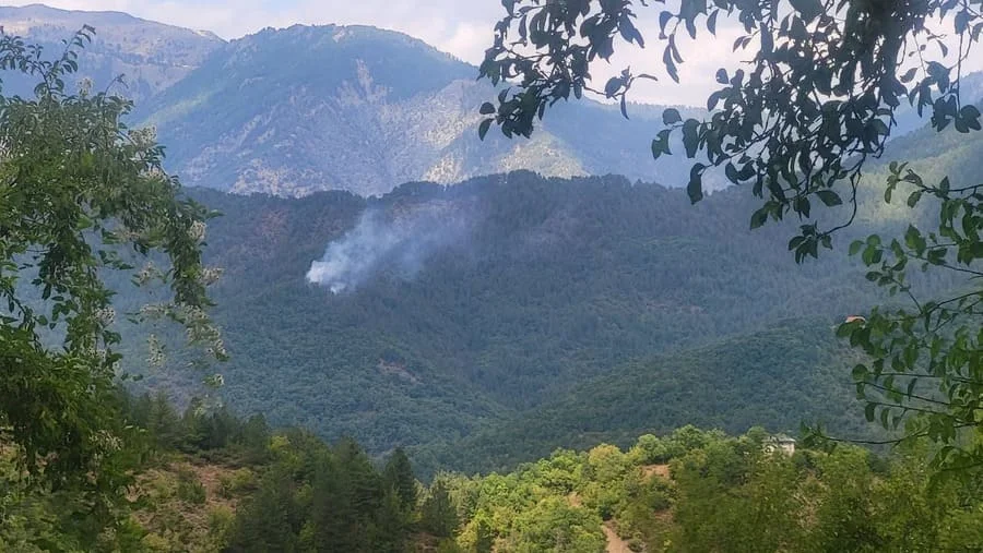 Πυρκαγιά από κεραυνό στη Λάιστα Ζαγορίου – Επιχείρηση κατάσβεσης σε δασική περιοχή