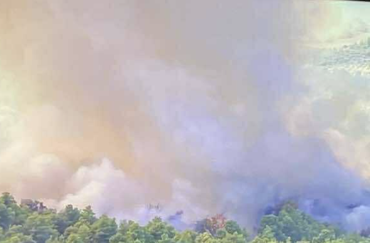 Μεγάλη αναζωπύρωση στο Χελιδόνι Ηλείας