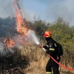 Πυρκαγιά σε δασική έκταση στην περιοχή Γυμνότοπος Πρεβέζης