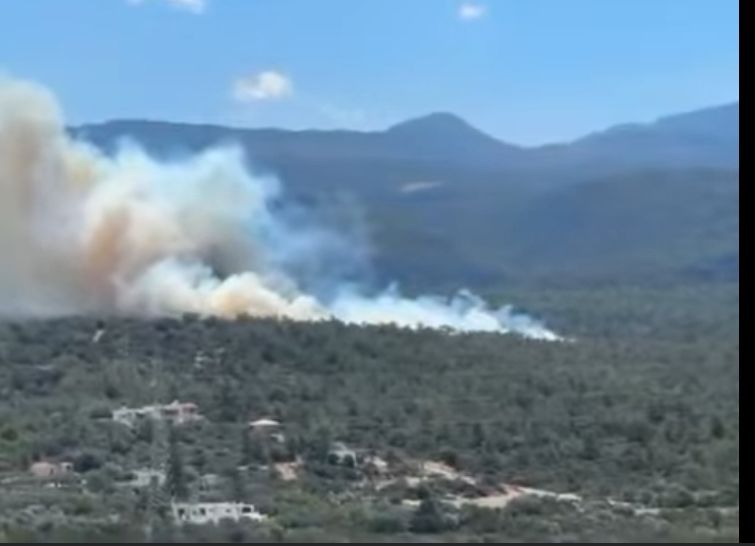 Πυρκαγιά σε δασική έκταση στο Βαθύ Αγίου Νικολάου Κρήτης