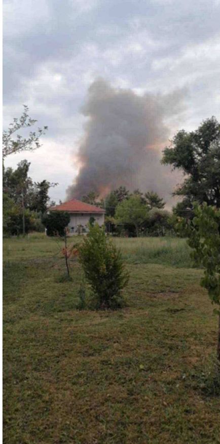 Πυρκαγιά στη Θάσο: Τέσσερις εστίες σε εξέλιξη – Μεγάλη κινητοποίηση επίγειων και εναέριων δυνάμεων