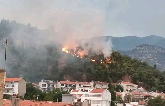 Πυρκαγιά σε δασική έκταση στην περιοχή Κουλάς Σερρών