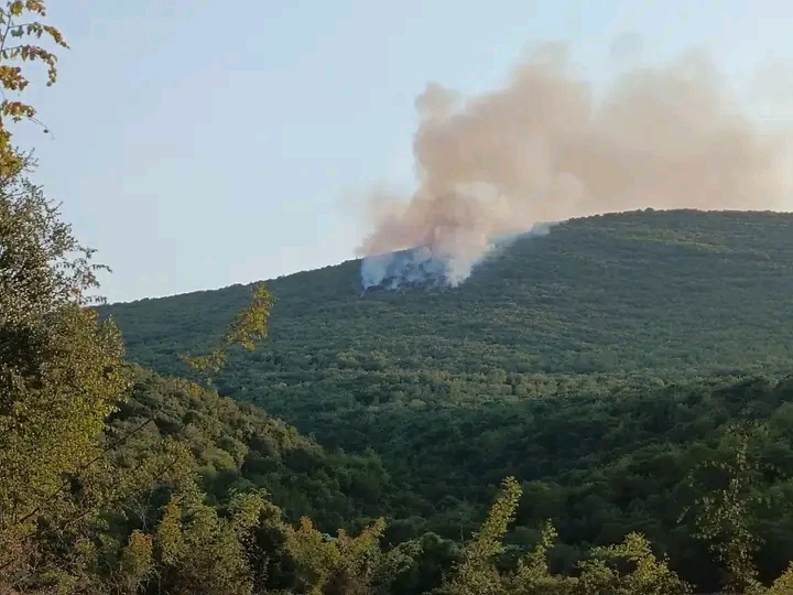 Πυρκαγιά σε δασική έκταση στο Μακρυχώρι Καβάλας