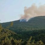 Πυρκαγιά σε δασική έκταση στο Μακρυχώρι Καβάλας